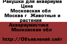 Ракушки для аквариума › Цена ­ 200 - Московская обл., Москва г. Животные и растения » Аквариумистика   . Московская обл.